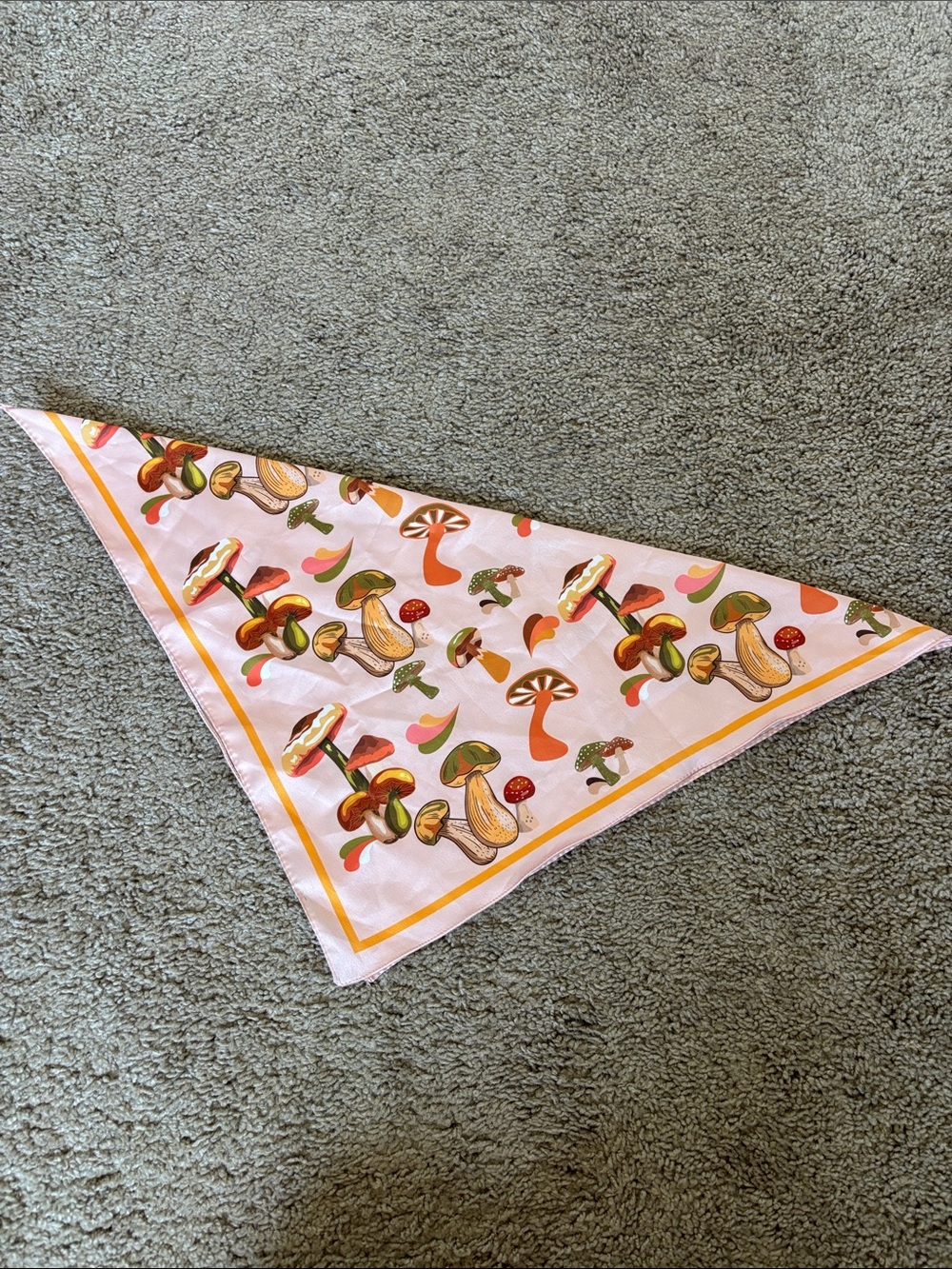 Mushroom Silk Scarf/Bandana